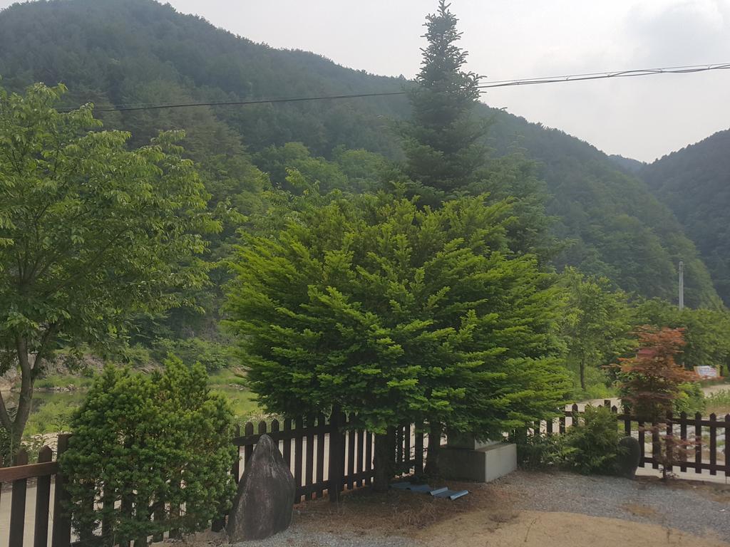 Pyeongchang River House المظهر الخارجي الصورة