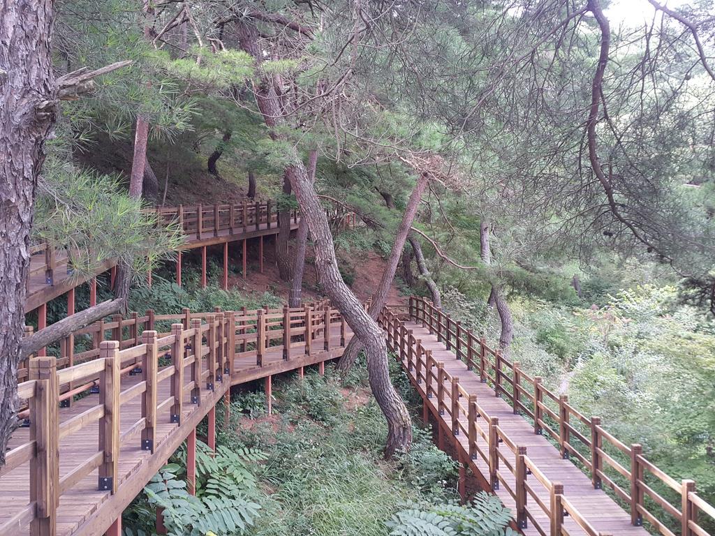 Pyeongchang River House المظهر الخارجي الصورة
